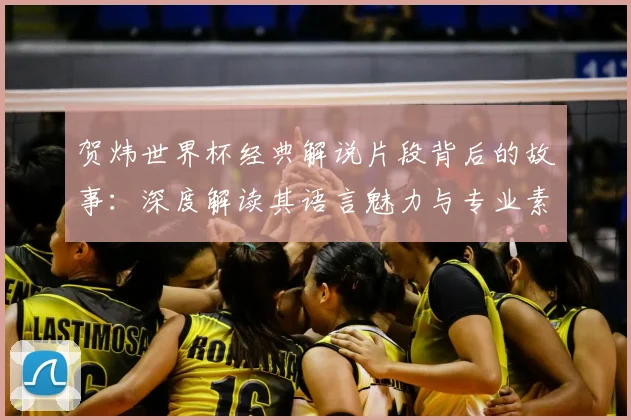 贺炜世界杯经典解说片段背后的故事：深度解读其语言魅力与专业素养