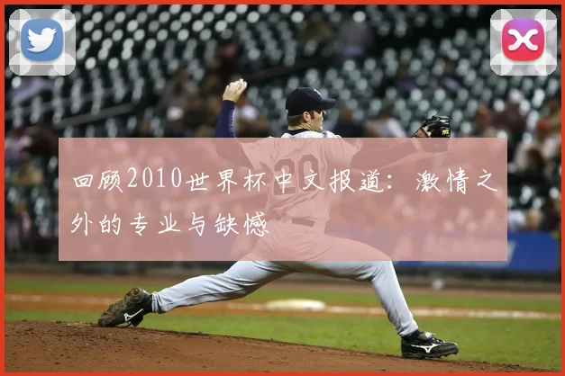 回顾2010世界杯中文报道：激情之外的专业与缺憾