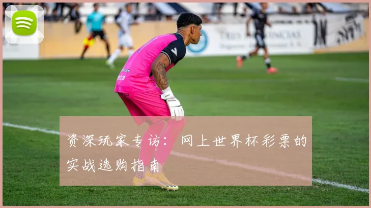 资深玩家专访：网上世界杯彩票的实战选购指南