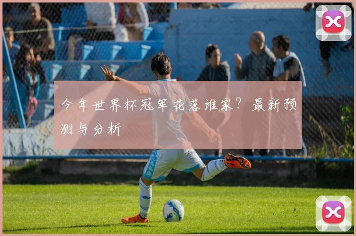 今年世界杯冠军花落谁家？最新预测与分析