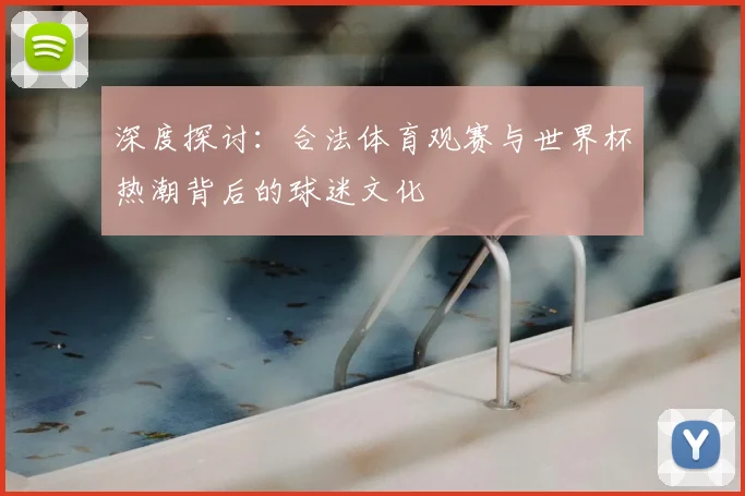 深度探讨：合法体育观赛与世界杯热潮背后的球迷文化